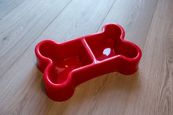 Dogs are welcome — San Siro House apartment, Milan